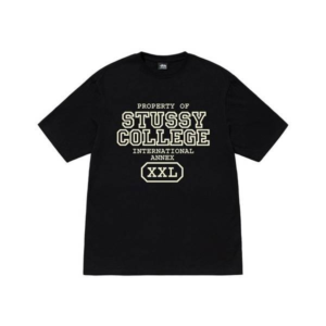 Stussy Marque Logo Propriété DE T-Shirt